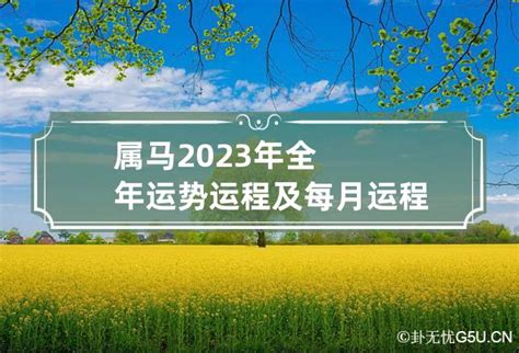 1978属马2023年运程|1978年属马人2023年运势及运程 78年45岁生肖马2023年每月运。